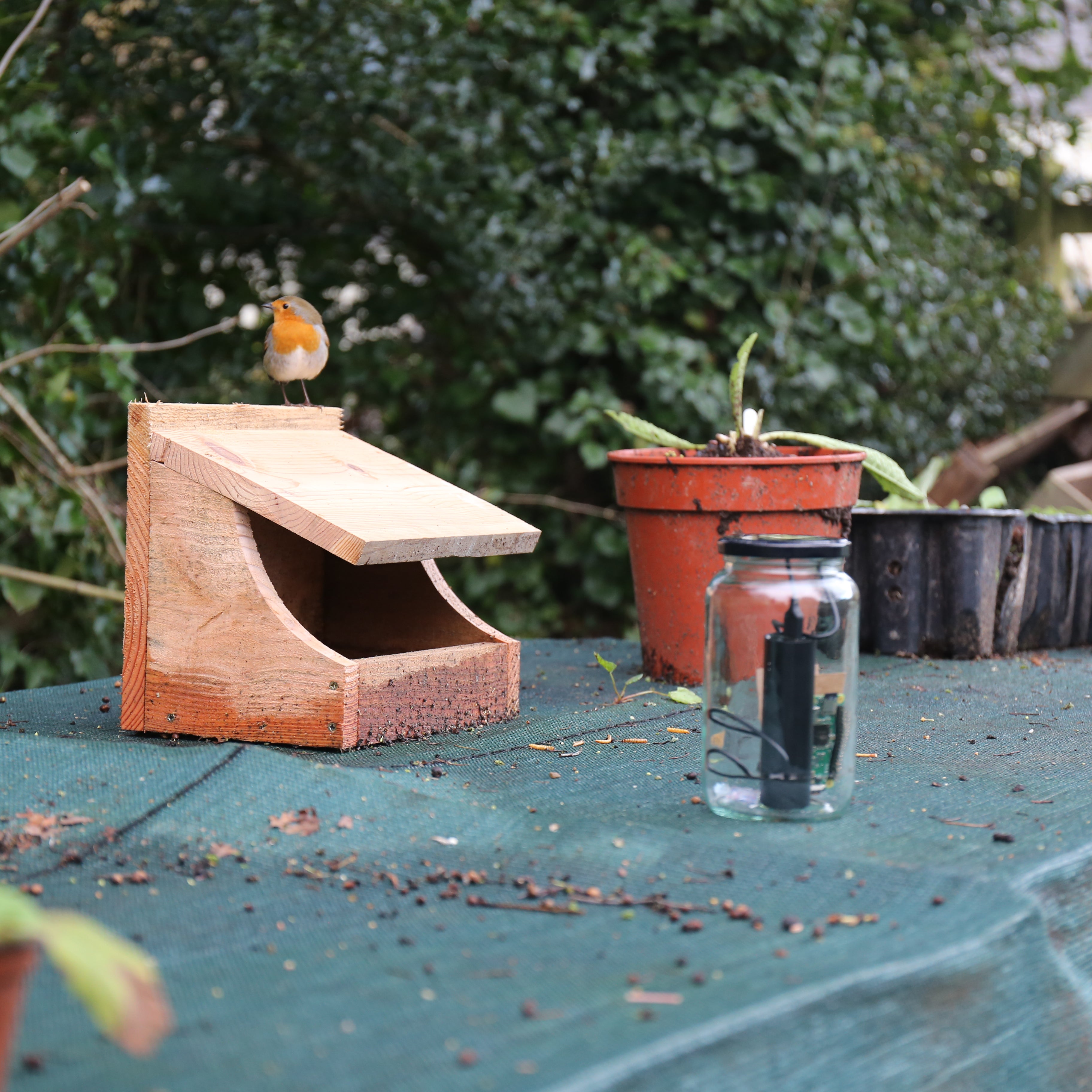 pimoroni-my-naturewatch-wildlife-camera-bausatz-f-r-eine-wildtierkamera-mit-rasp image 4