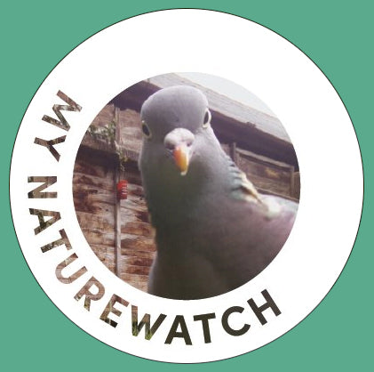 pimoroni-my-naturewatch-wildlife-camera-bausatz-f-r-eine-wildtierkamera-mit-rasp image 1