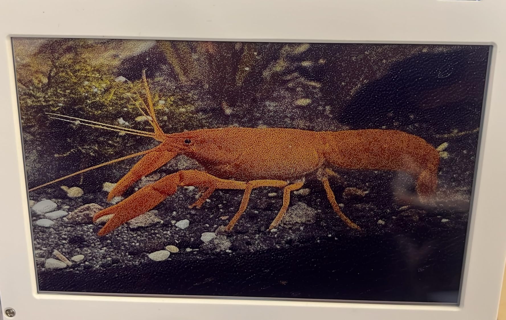 Wunderschöner digitaler Bilderrahmen