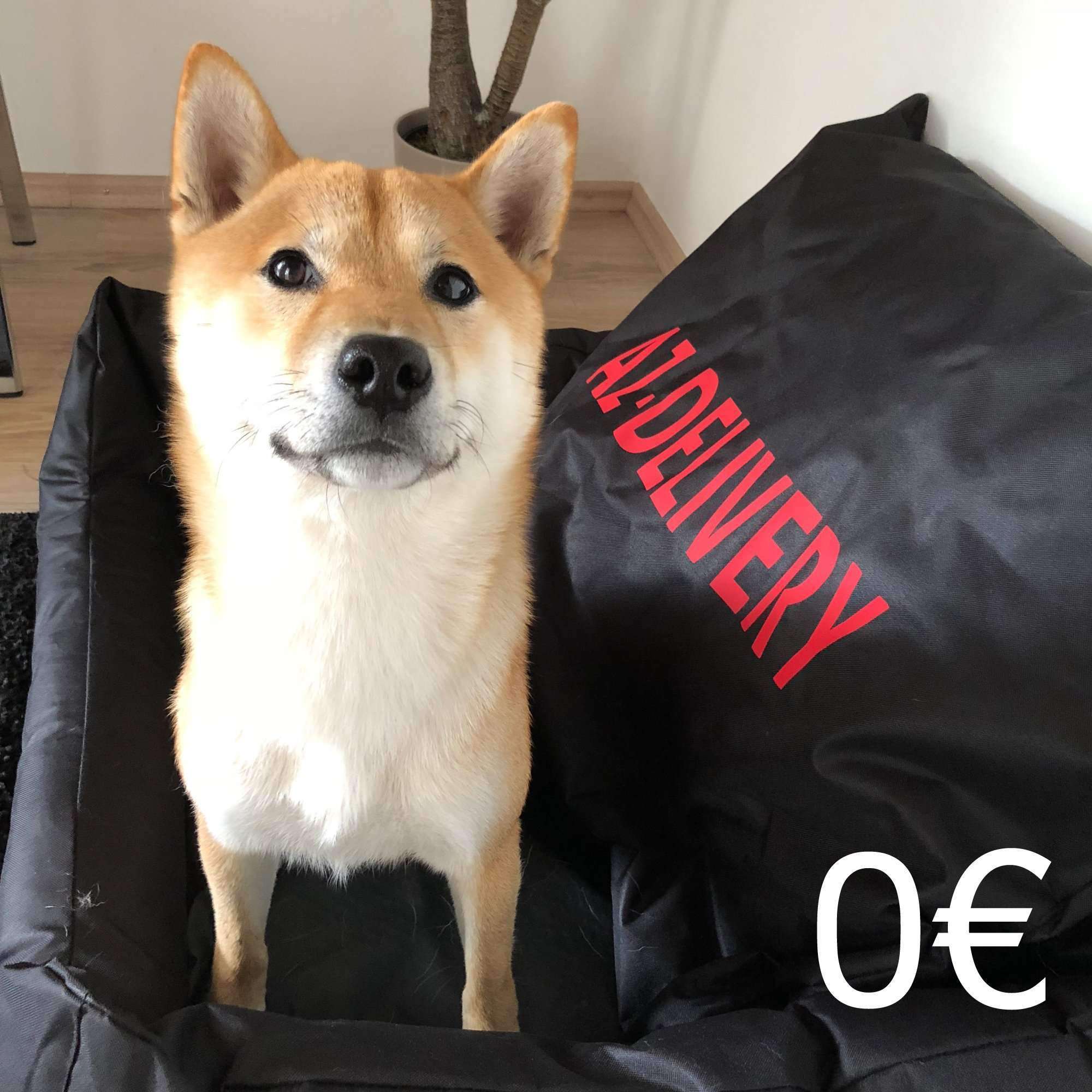 az-delivery-leckerli-f-r-yoshi-spende-mit-berraschung image 2