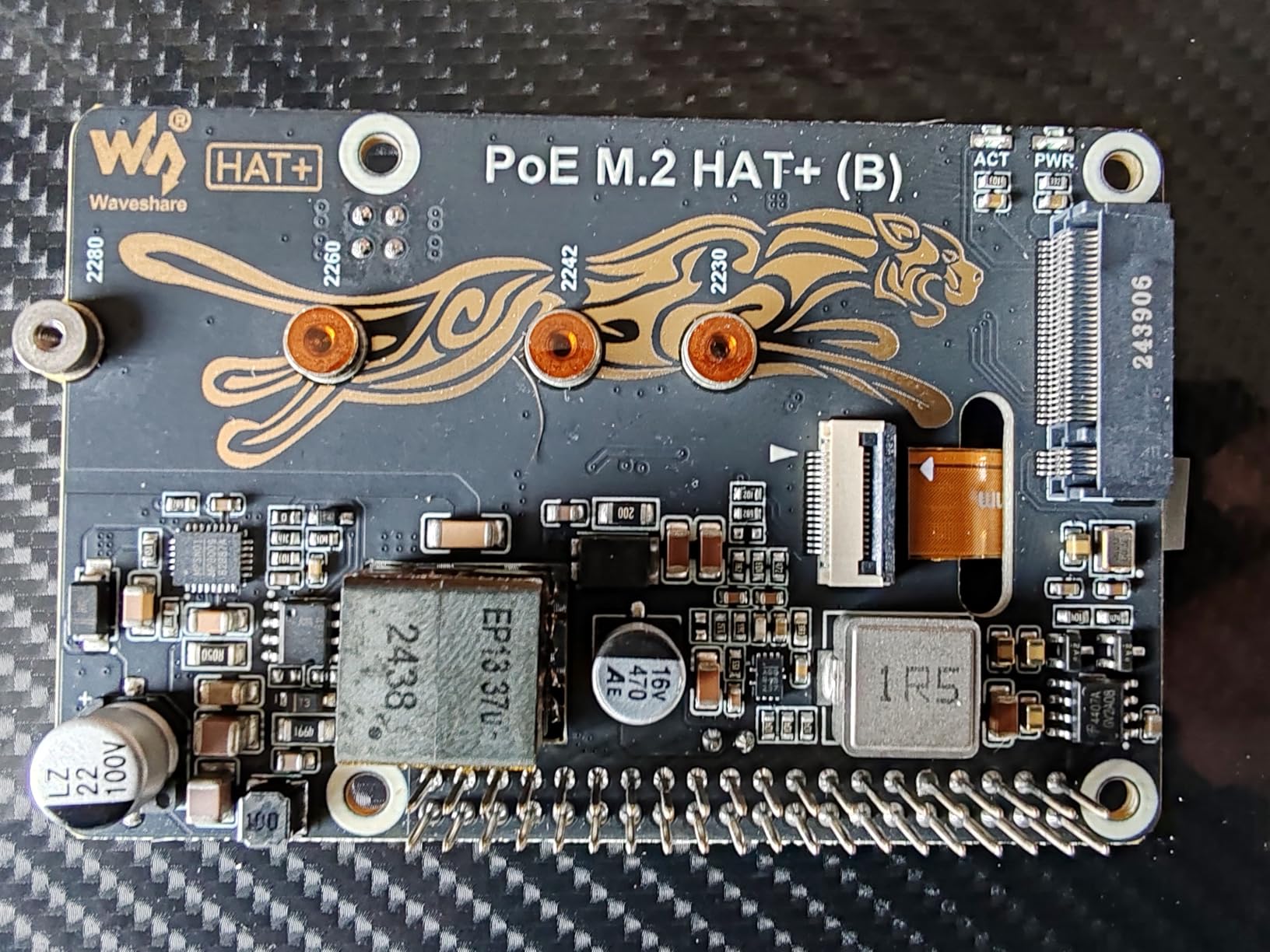 SSD-Probleme mit meinem Modell