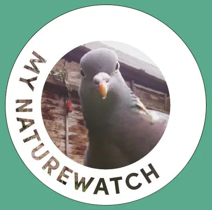 pimoroni-my-naturewatch-wildlife-camera-bausatz-f-r-eine-wildtierkamera-mit-rasp image 1
